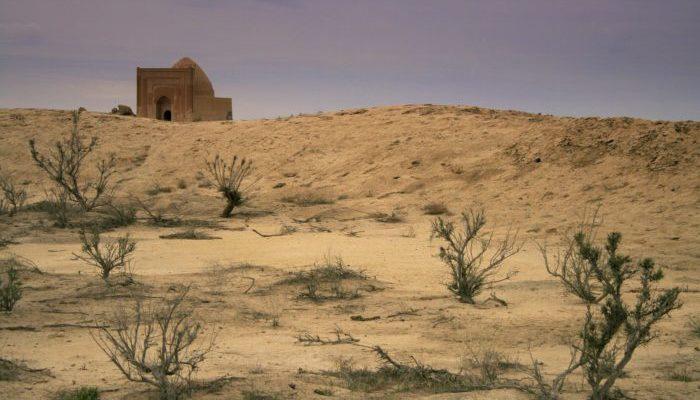 Кизилкум в пустыне