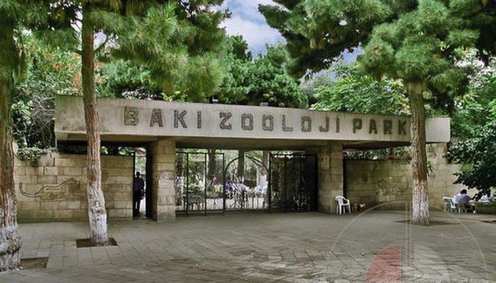 Зоопарк