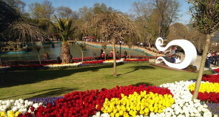 Симфония колыхания тюльпанов: миллион цветов в парке Эмирган