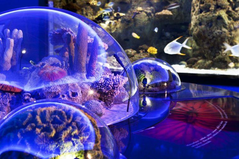 Стамбульский аквариум фото