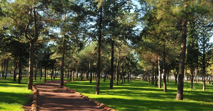 Парк в Анталии
