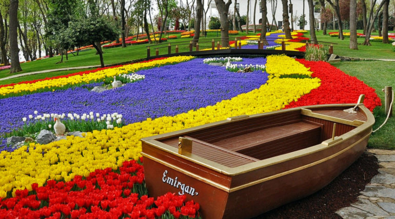 Симфония колыхания тюльпанов: миллион цветов в парке Эмирган