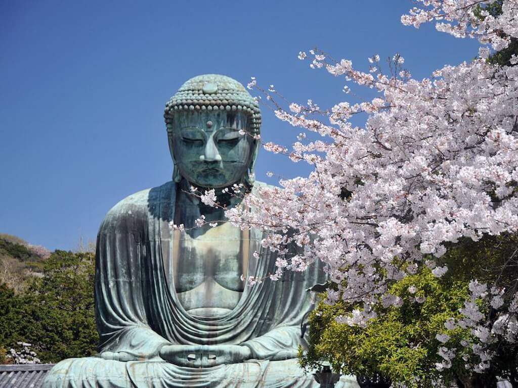Будда и цветущая вишня